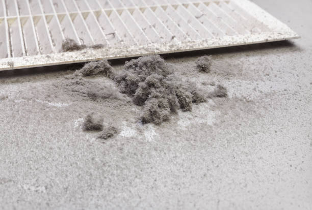 Best Emergency Air Duct Cleaning  in St Paul, MN